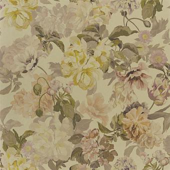 Флизелиновые обои Designers Guild PDG1033/02 коллекции Tulipa Stellata